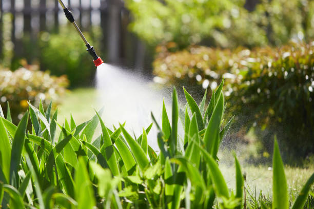 24/7 Emergency Rodent Control experts in Marietta-Alderwood, WA