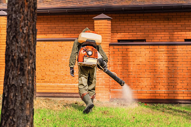 Trusted Termite Control service in Marietta-Alderwood, WA - Nex Pest Control